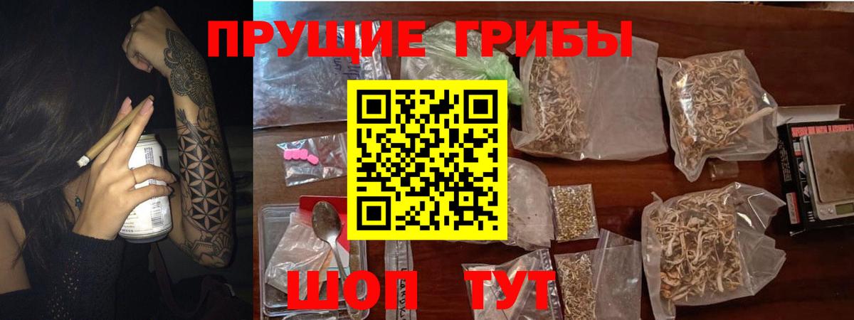 Псилоцибиновые грибы Cubensis Ангарск