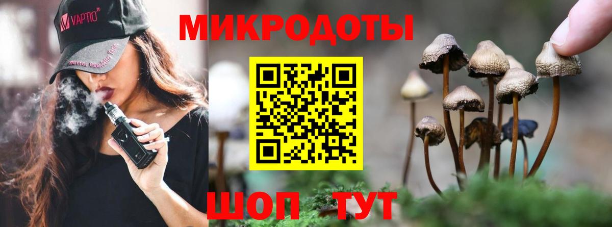 Ангарск  Галлюциногенные грибы Cubensis  Вход с VPN 